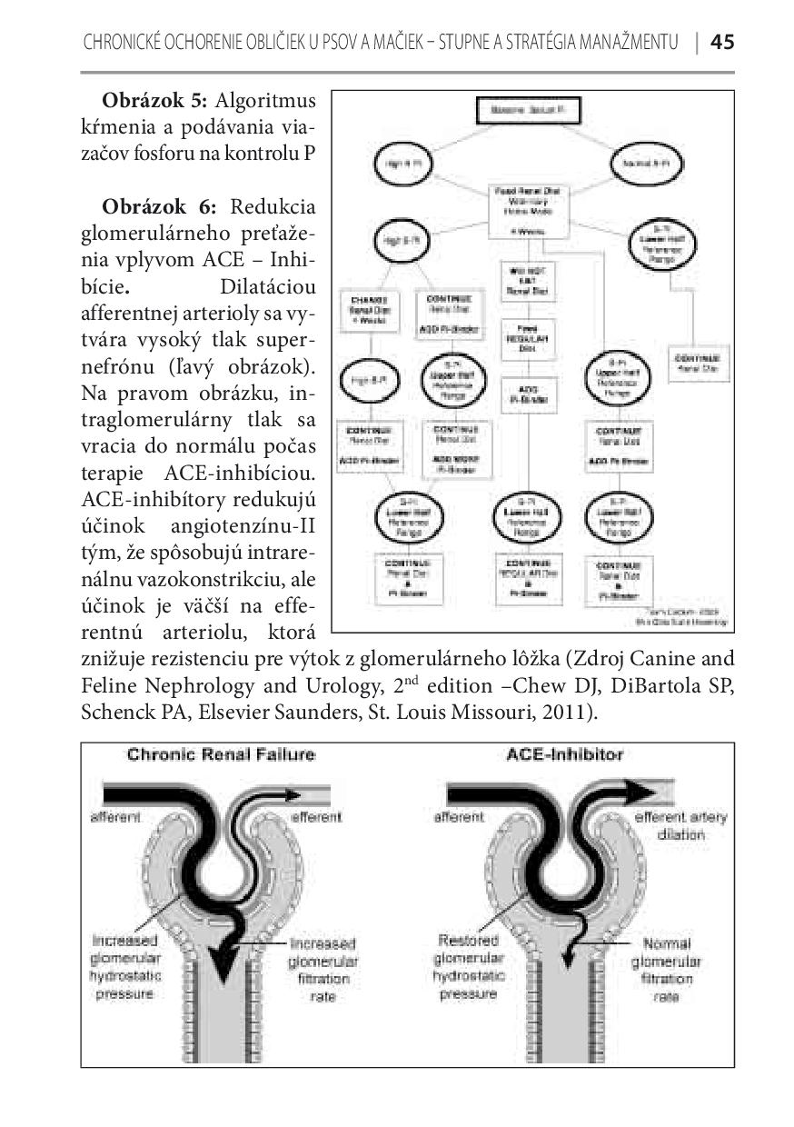 uro4