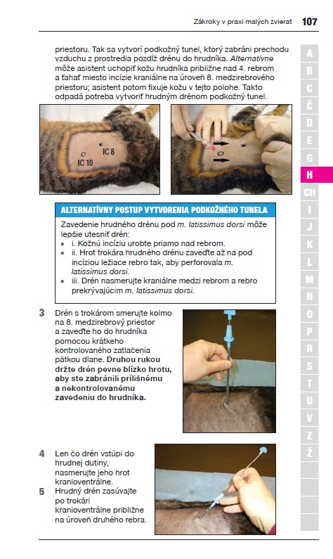 obr4 BSAVA Zakroky
