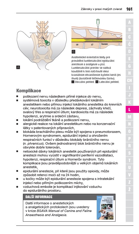 obr6 BSAVA Zakroky