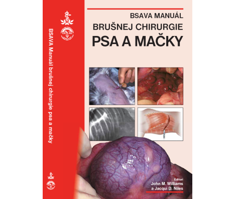 BSAVA Manuál brušnej chirurgie psa a mačky, 2013 1obalka